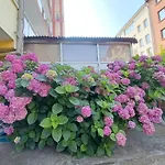 Family Magnolia - Summer Primorsko