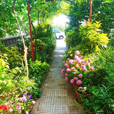 Family Magnolia - Summer Penzion 3*